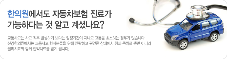 ÇÑÀÇ¿øÀÚµ¿Â÷º¸ÇèÁø·á